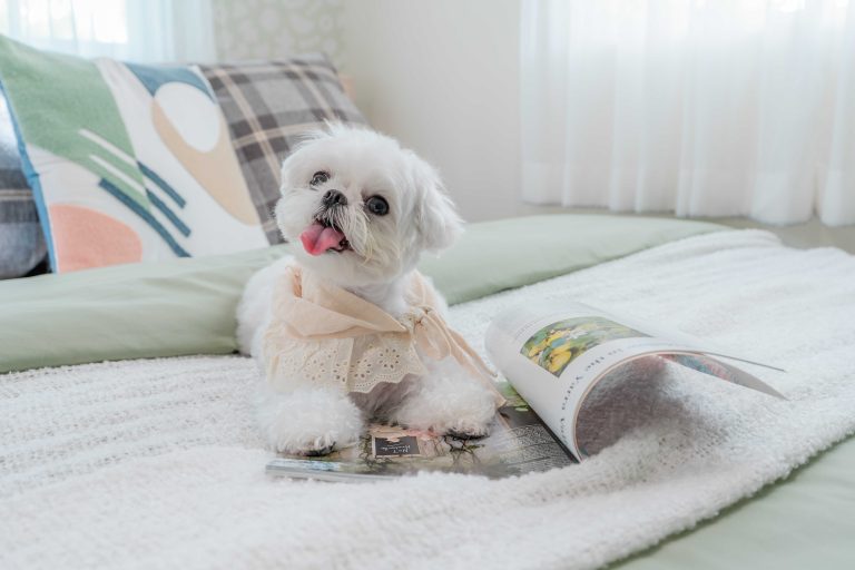 สำเนาของ-dsc02704_optimized