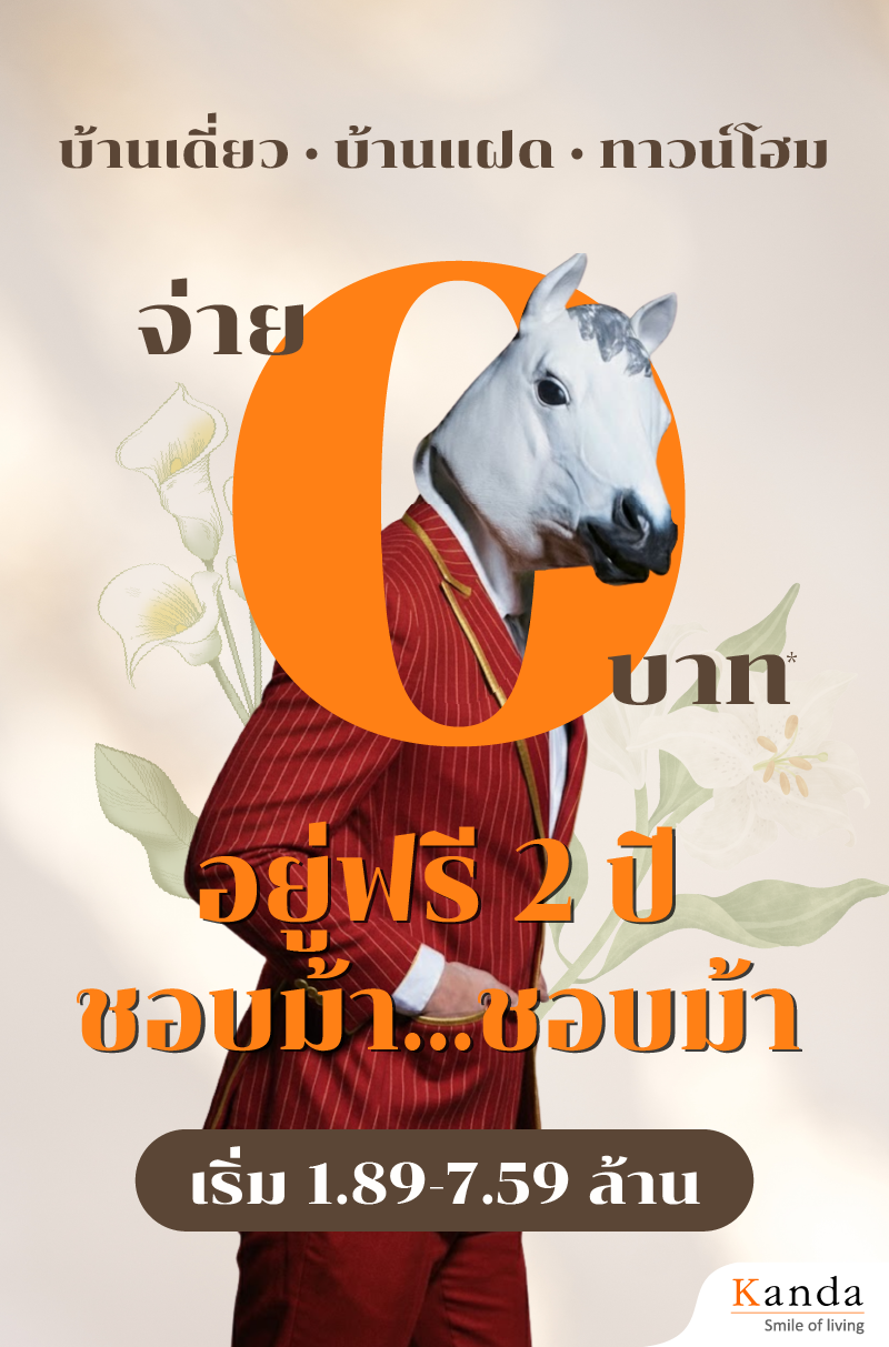 68.12.12 ปกเว็บ ชอบม้าชอบม้า-03